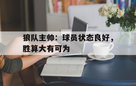 APP下载-狼队主帅：球员状态良好，胜算大有可为的简单介绍